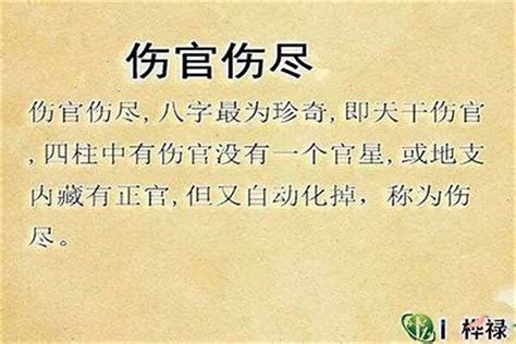 傷官是什麼意思|八字命理解析：八字流年傷官是什麼意思？